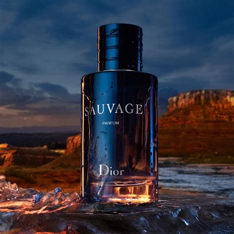 dior sauvage similar perfumes|Dior Sauvage 100ml cheapest.